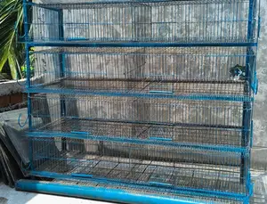 খাঁচা