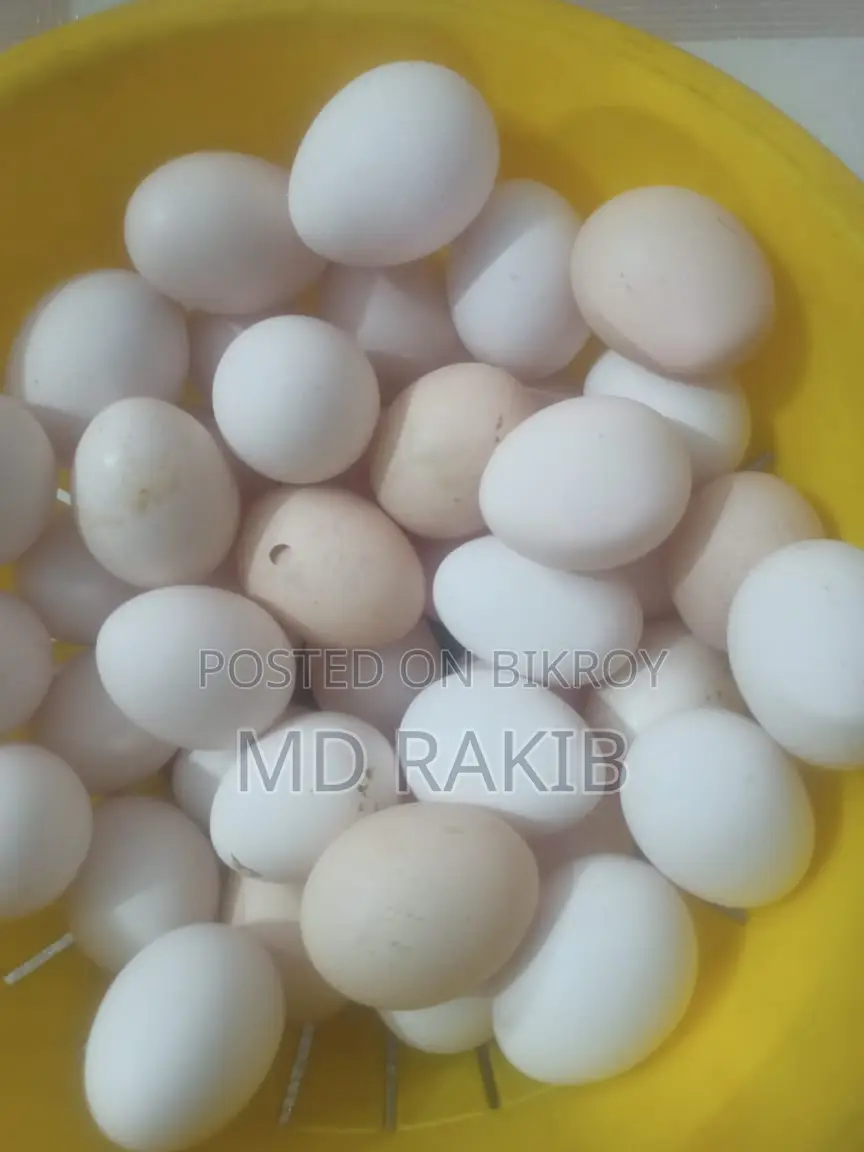 Deshi Chicken Eggs