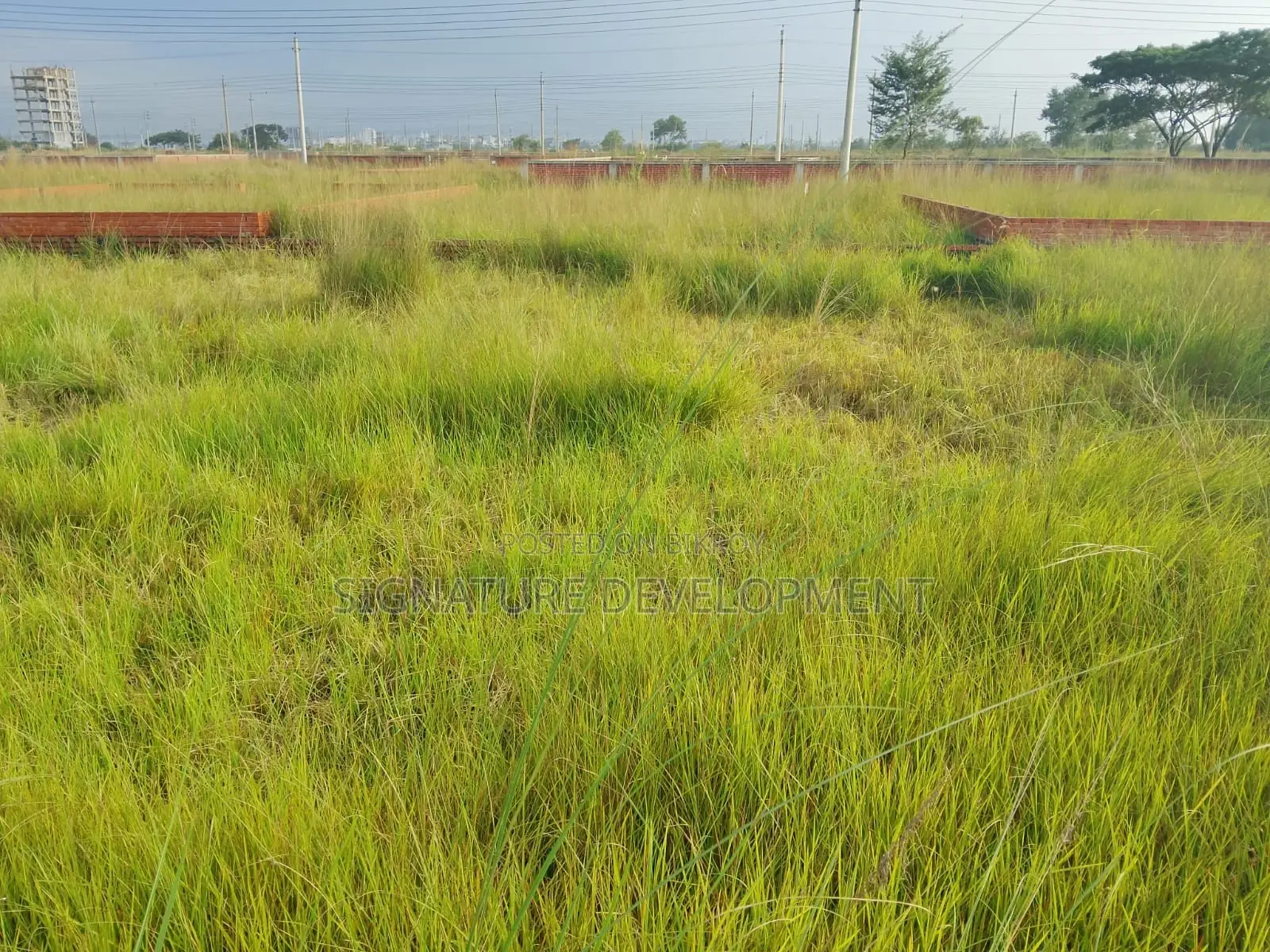 N-block||5 Katha||near Of Sports Complex In Bashundhara R/a