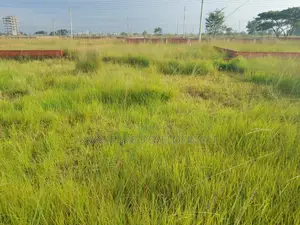 N-block||5 Katha||near Of Sports Complex In Bashundhara R/a