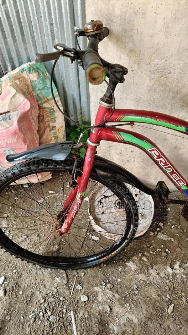 Prince Bicycle for Sale