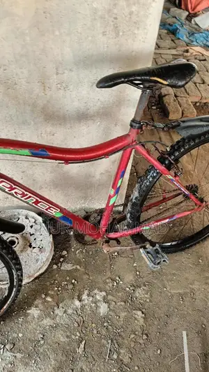 Prince Bicycle for Sale