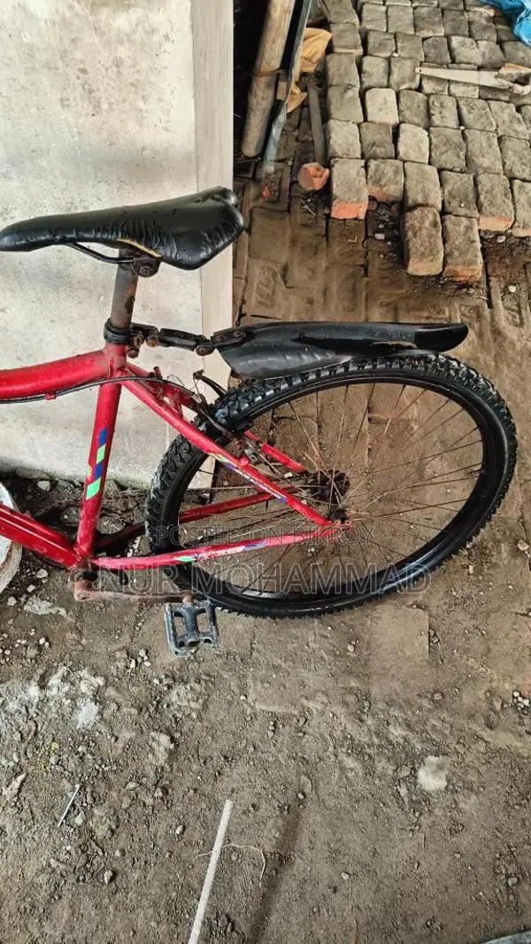 Prince Bicycle for Sale