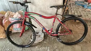 Prince Bicycle for Sale