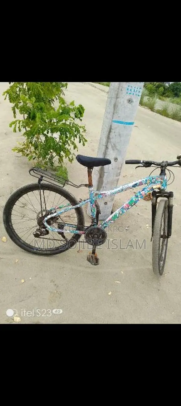 Phoenix bicycle for sale.