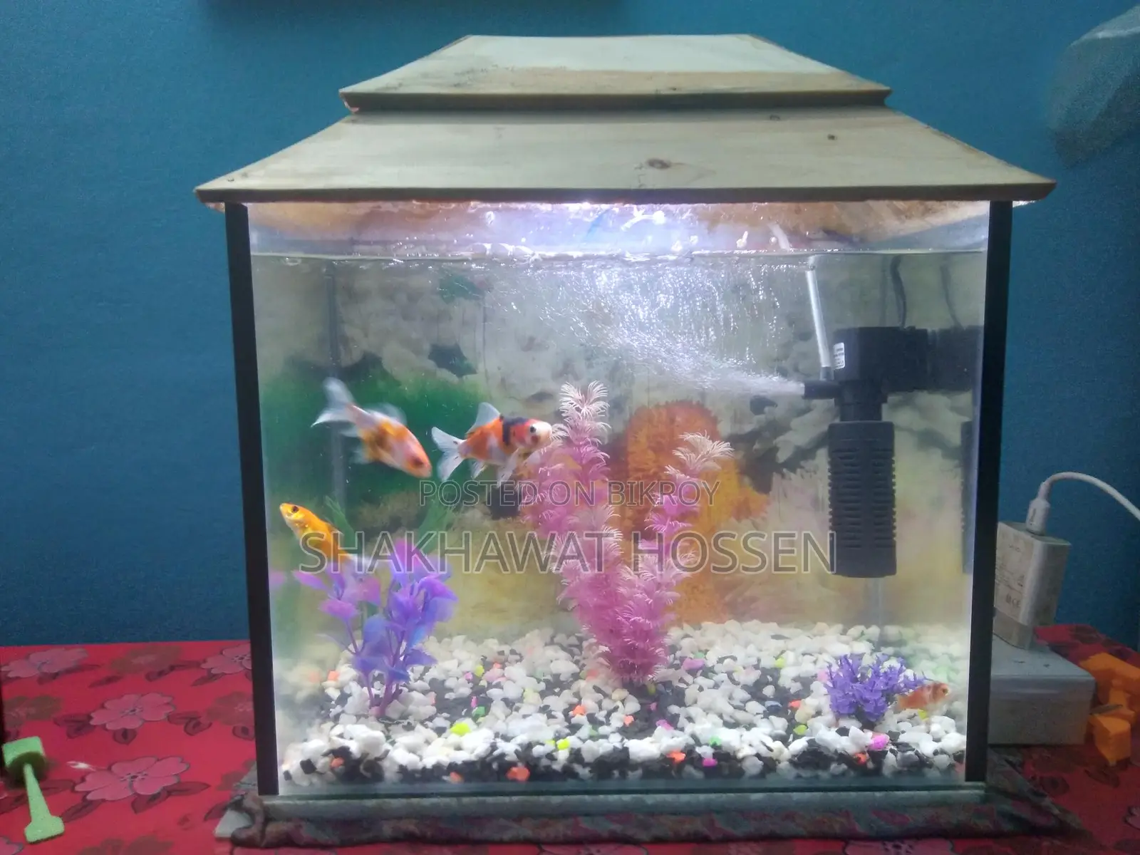 একুরিয়াম বিক্রি করা হবে
