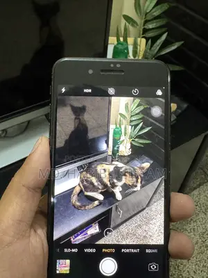 Apple iPhone 7 Plus (Used)