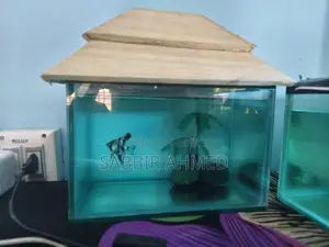 6×9 Inch Fish Tank