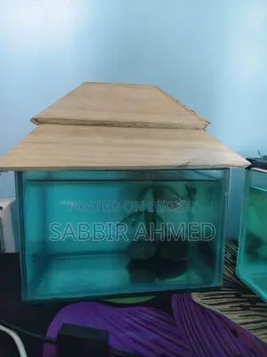 6×9 Inch Fish Tank
