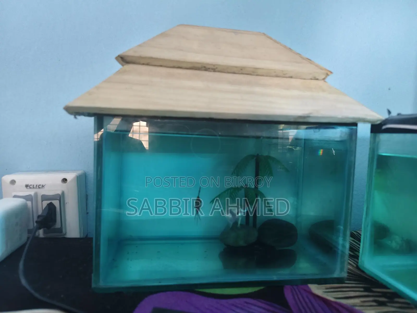 6×9 Inch Fish Tank
