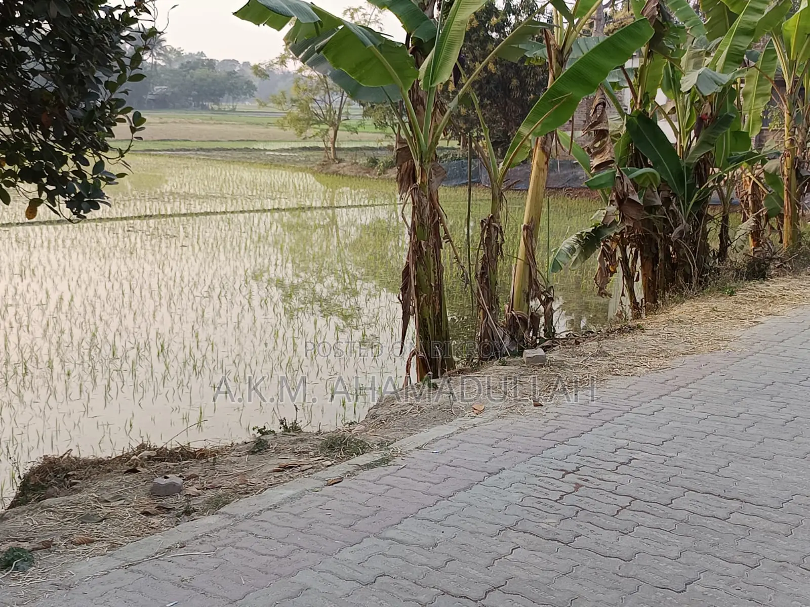 Land in a Beautiful Location