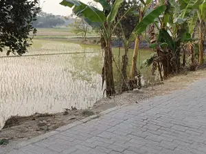 Sundor Location Er Jomi