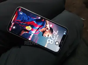 Apple iPhone 12 (Used)