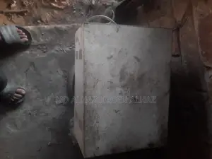 ১০০০ ওয়াট আইপিএস