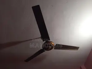 Ceiling Fan for Sale