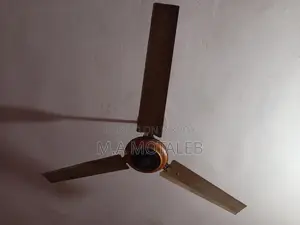 Ceiling Fan for Sale