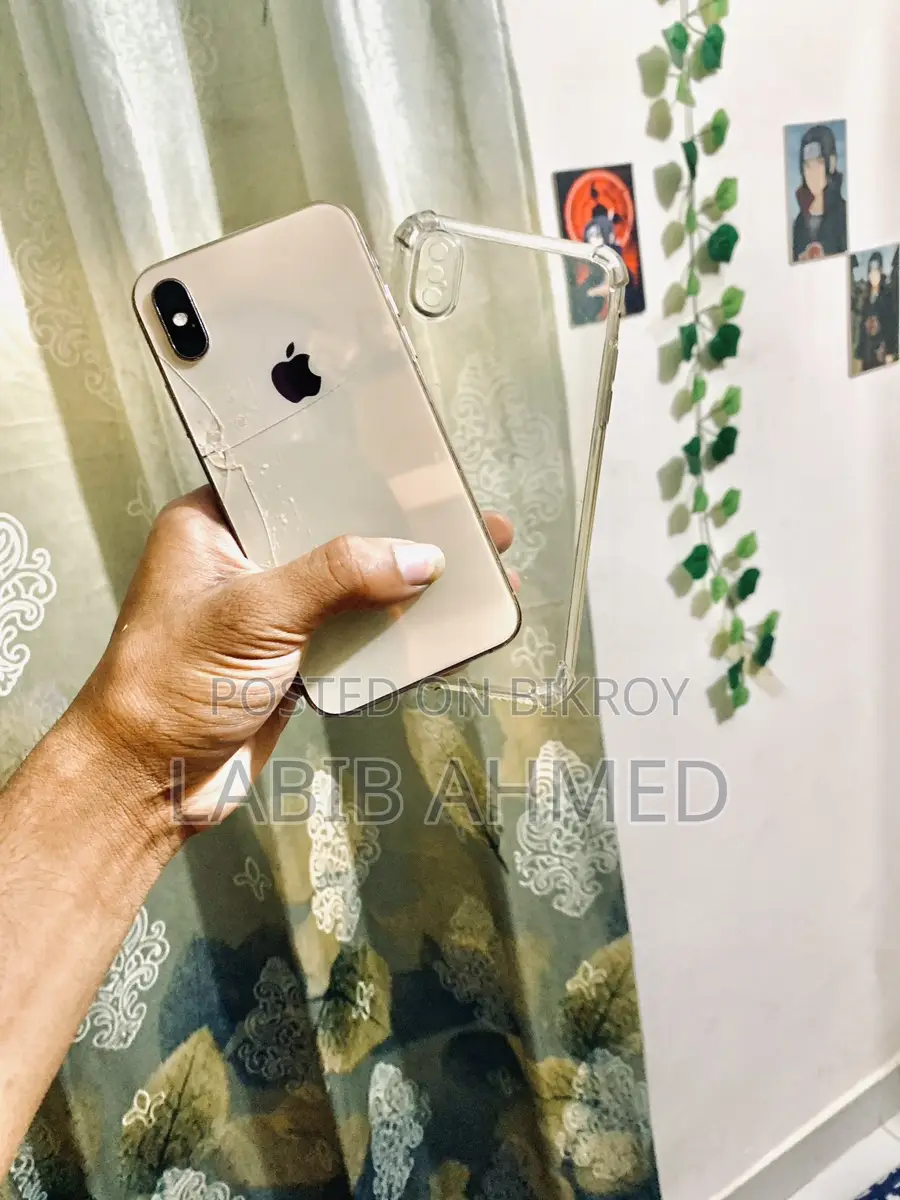 Apple iPhone XS 256 gb (Used)