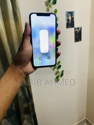 Apple iPhone XS 256 gb (Used)