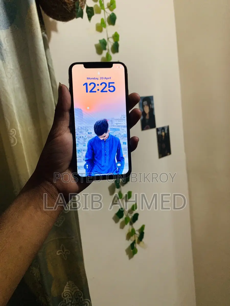 Apple iPhone XS 256 gb (Used)