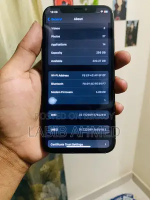 Apple iPhone XS 256 gb (Used)