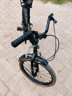 🚲 Prince 20″ Kids Bicycle | Best Gift ৳4,000