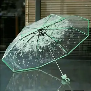 Transparent Umbrella