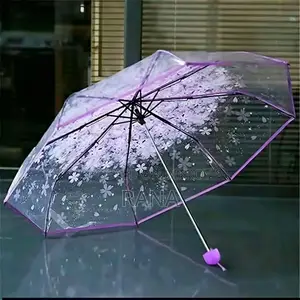 Transparent Umbrella