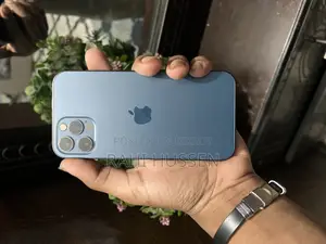 Apple iPhone 12 Pro (Used)