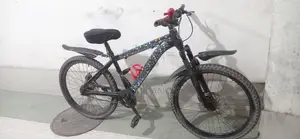 Phoenix 24 Size Bicycle