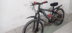 Phoenix 24 Size Bicycle
