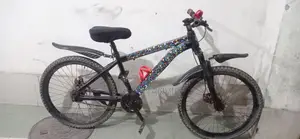 Phoenix 24 Size Bicycle