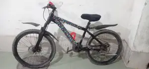 Phoenix 24 Size Bicycle