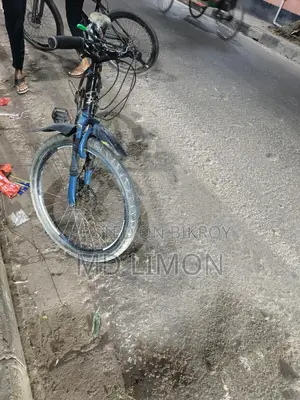 Excellent Non-Gear Bicycle, Upgradeable to Gear