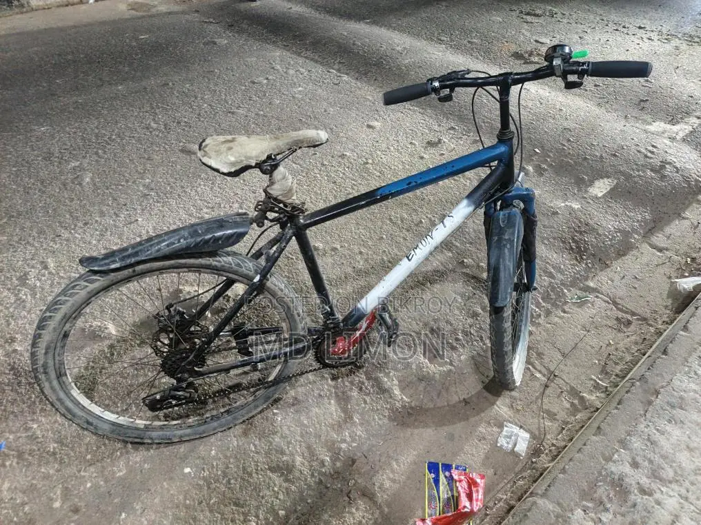 Excellent Non-Gear Bicycle, Upgradeable to Gear