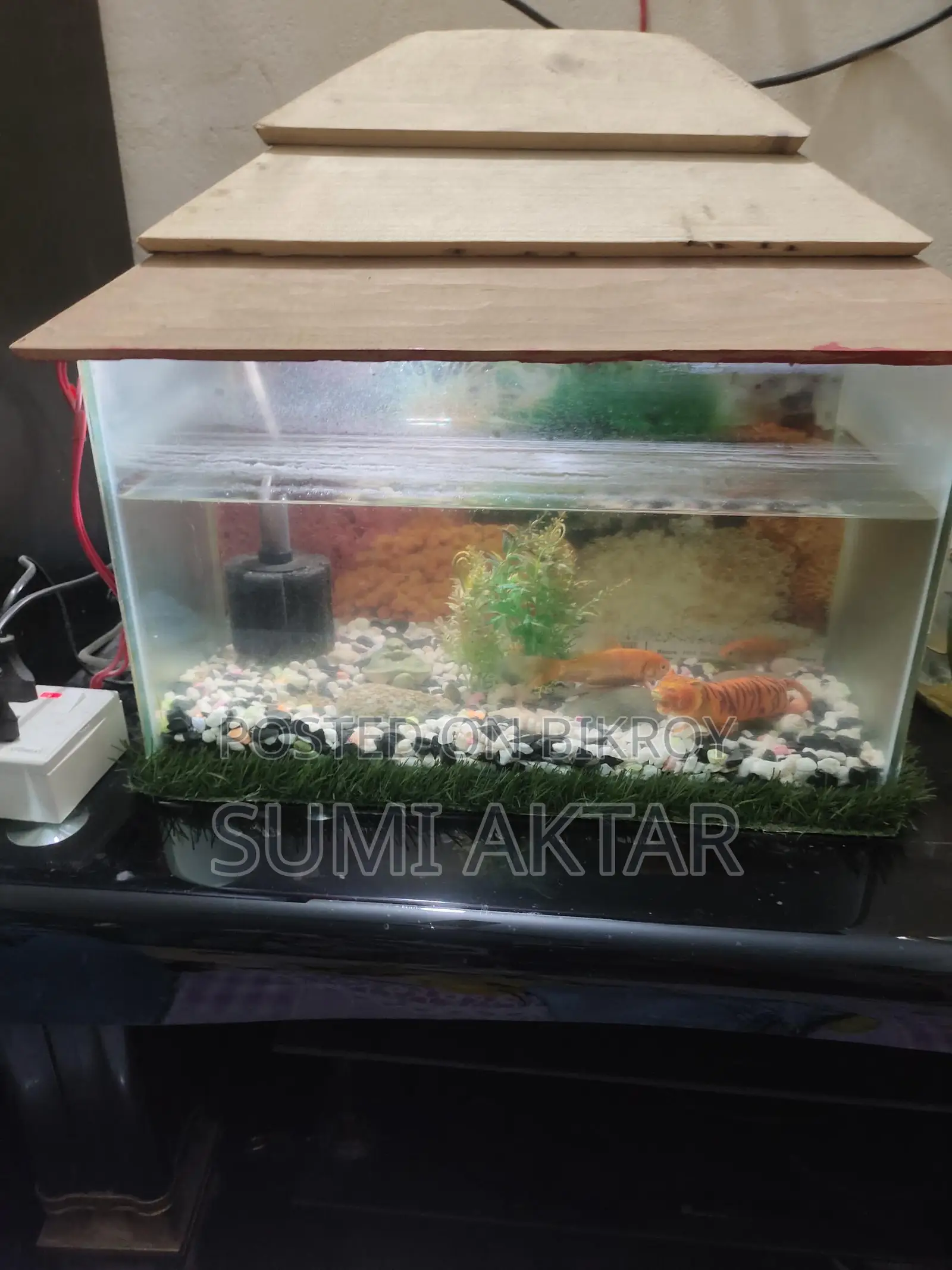 Aquarium