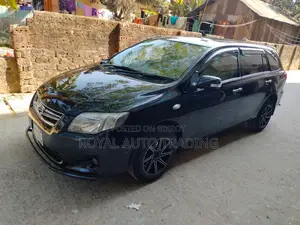 Toyota Fielder Axio 2010