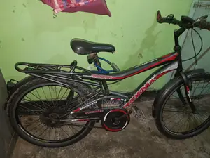 ফনিক্স সাইকেল ২৪ সাইজ