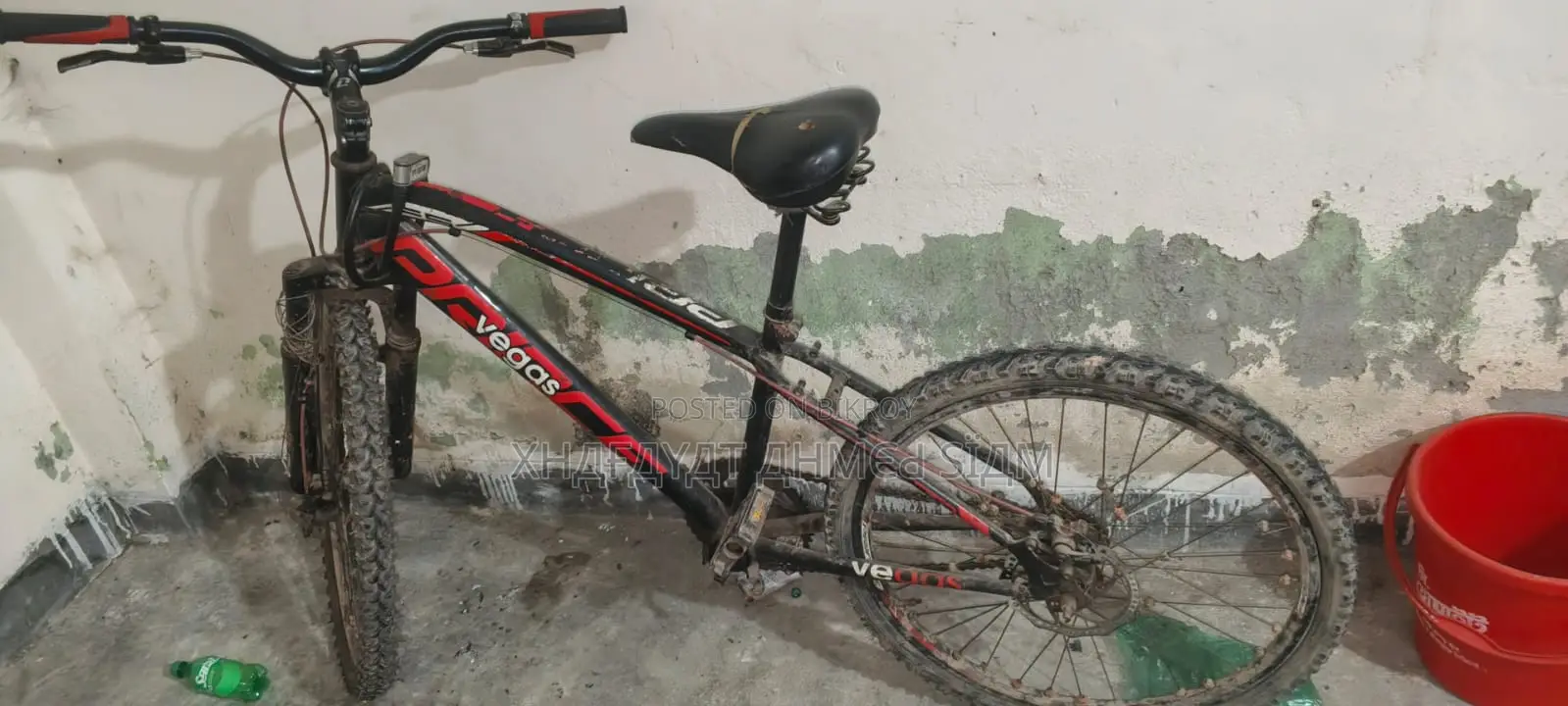 Vegos Cycle