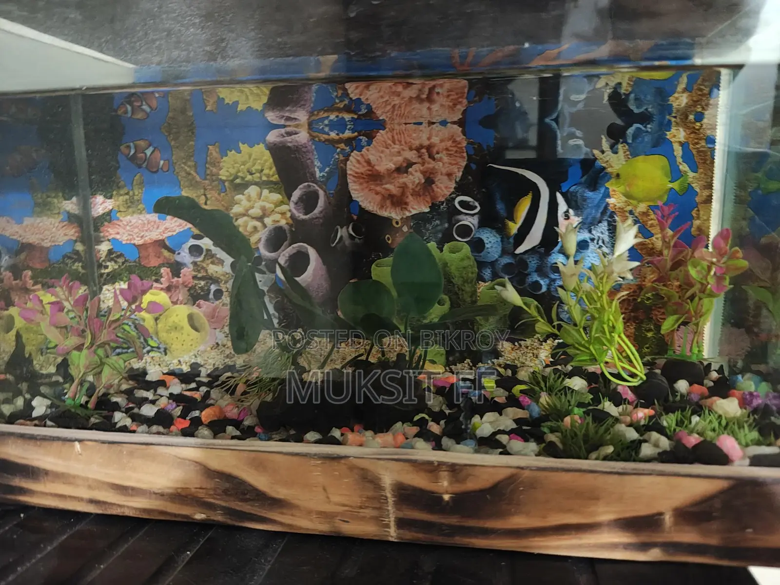 Aquarium 9/18 1 Ta Angel Fish Light Oxygen Air Filter
