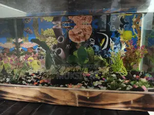 Aquarium 9/18 1 Ta Angel Fish Light Oxygen Air Filter