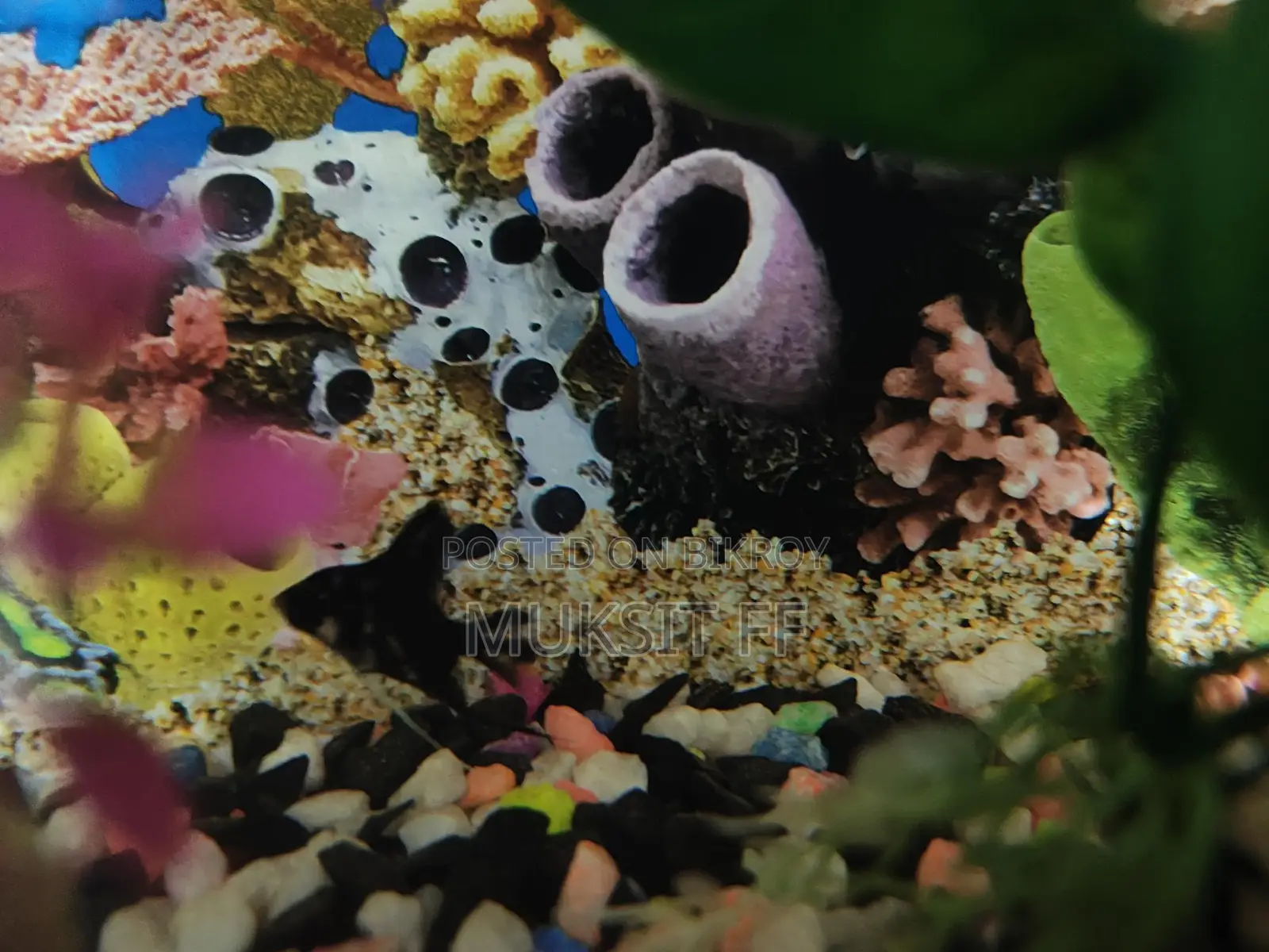 Aquarium 9/18 1 Ta Angel Fish Light Oxygen Air Filter
