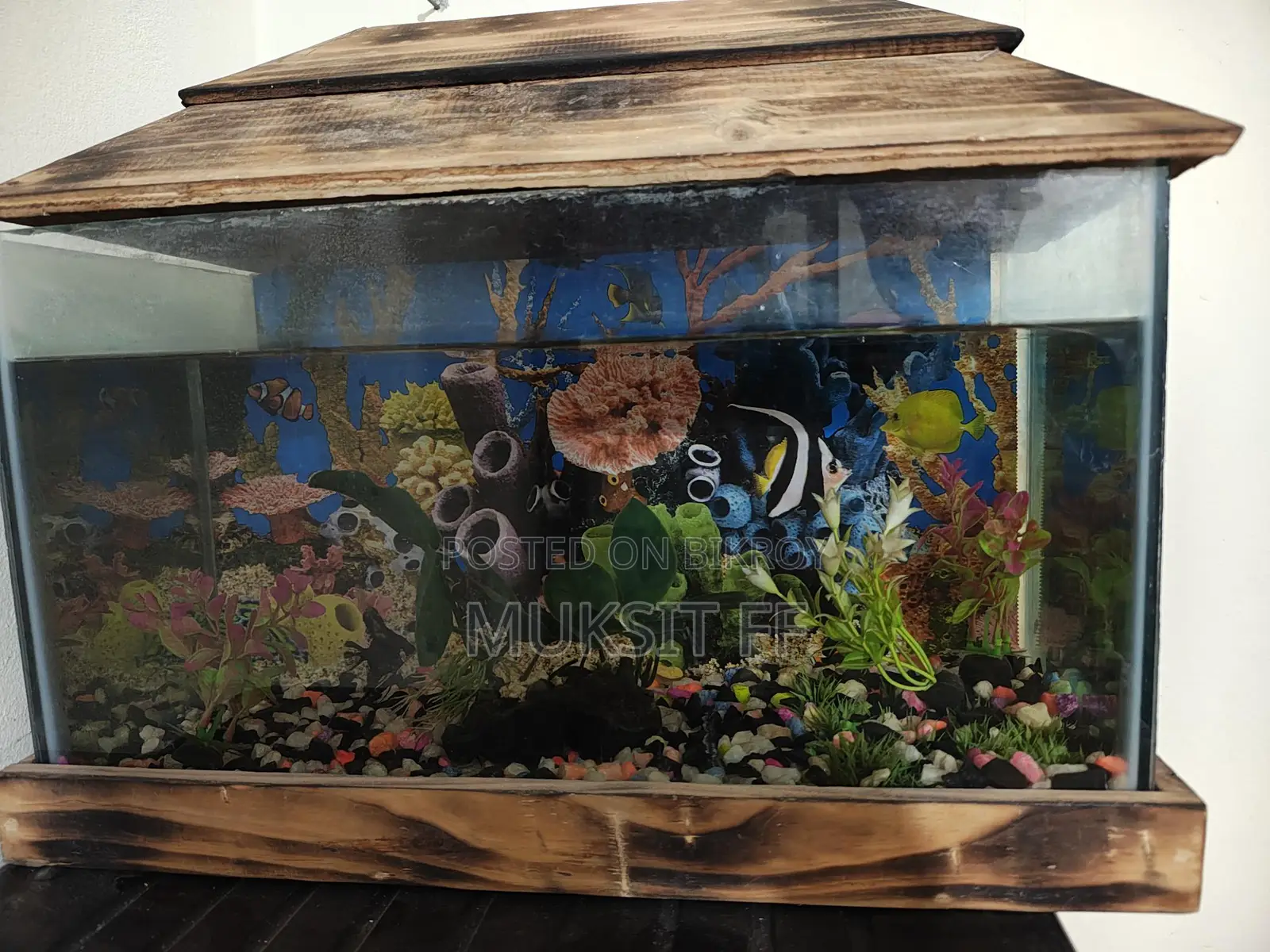 Aquarium 9/18 1 Ta Angel Fish Light Oxygen Air Filter