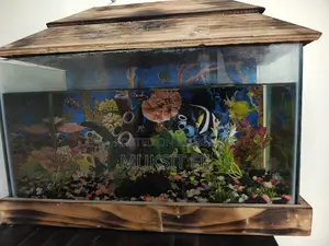 Aquarium 9/18 1 Ta Angel Fish Light Oxygen Air Filter