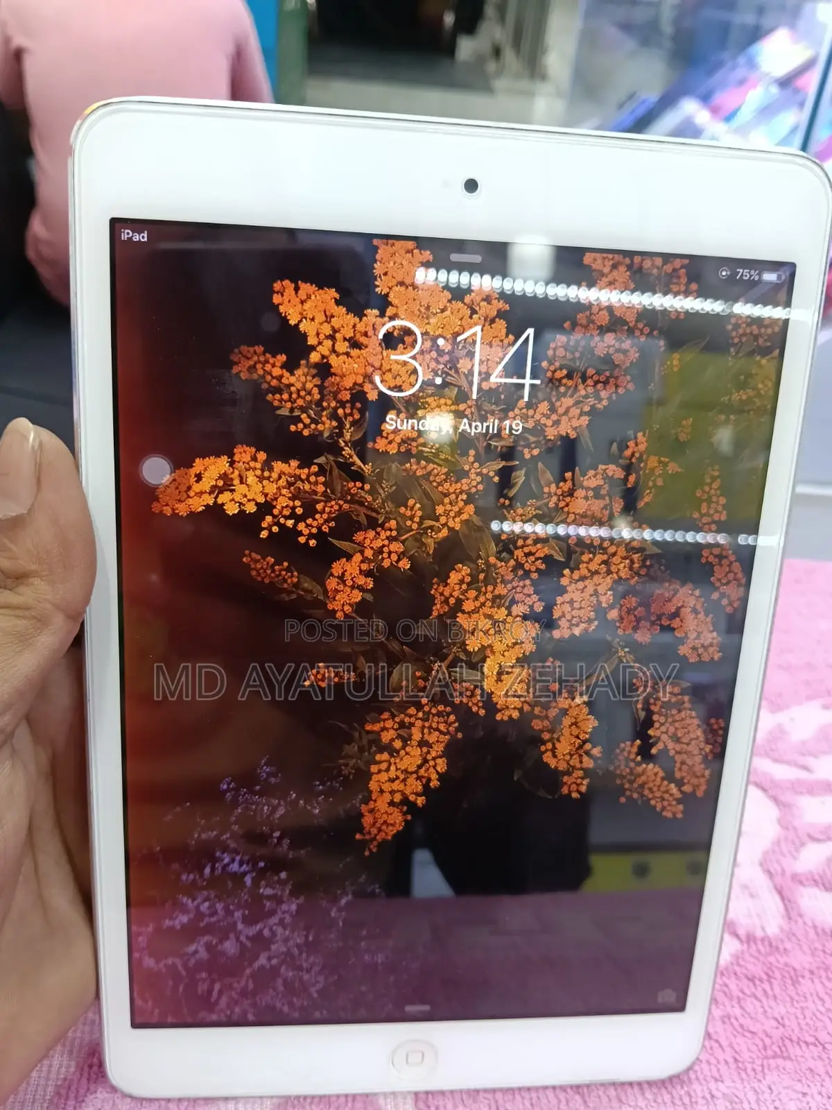 Apple Ipad (used)