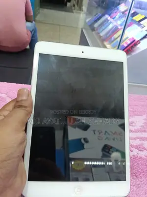 Apple Ipad (used)