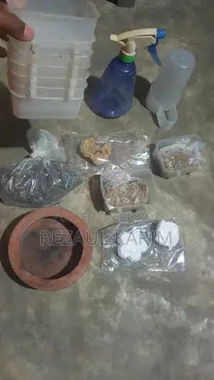 পাখির বাটি খাবার ক্যালসিয়াম ভিটামিন ছোট খাঁচা
