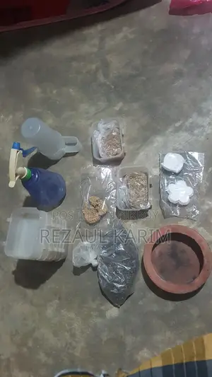 পাখির বাটি খাবার ক্যালসিয়াম ভিটামিন ছোট খাঁচা