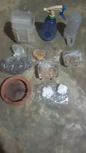 পাখির বাটি খাবার ক্যালসিয়াম ভিটামিন ছোট খাঁচা