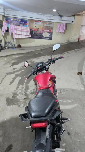 Runner Bolt Super Fresh Condition 2020