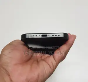 Apple iPhone 16 Pro Max 256gb (Used)
